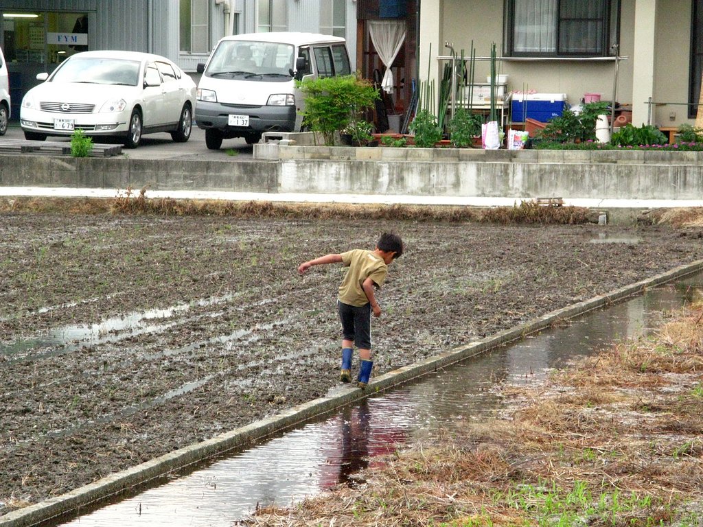 雨上がり