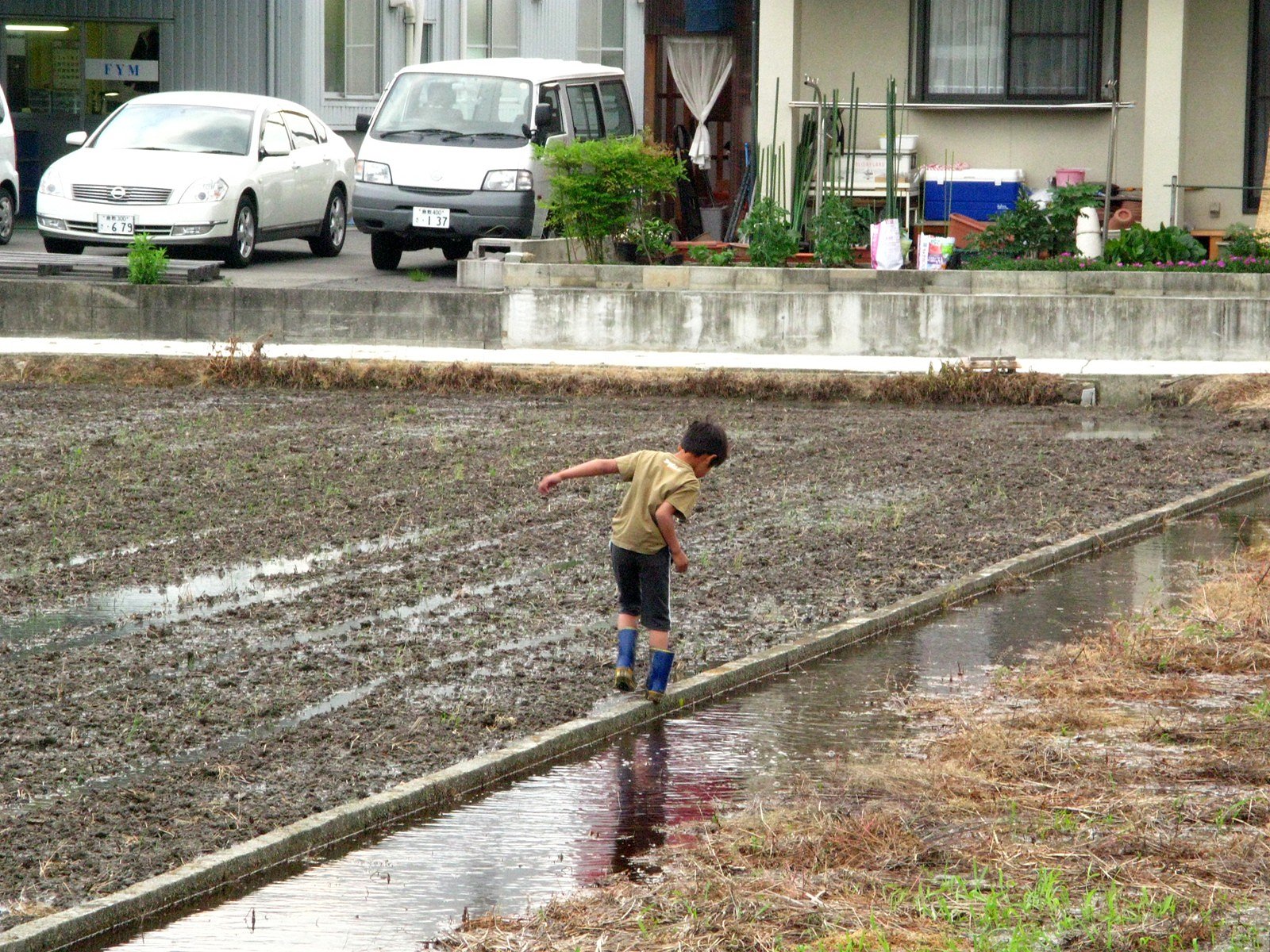 雨上がり