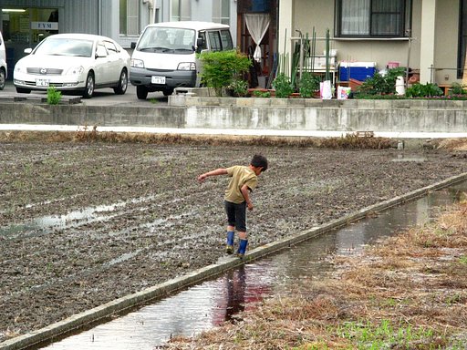 雨上がり