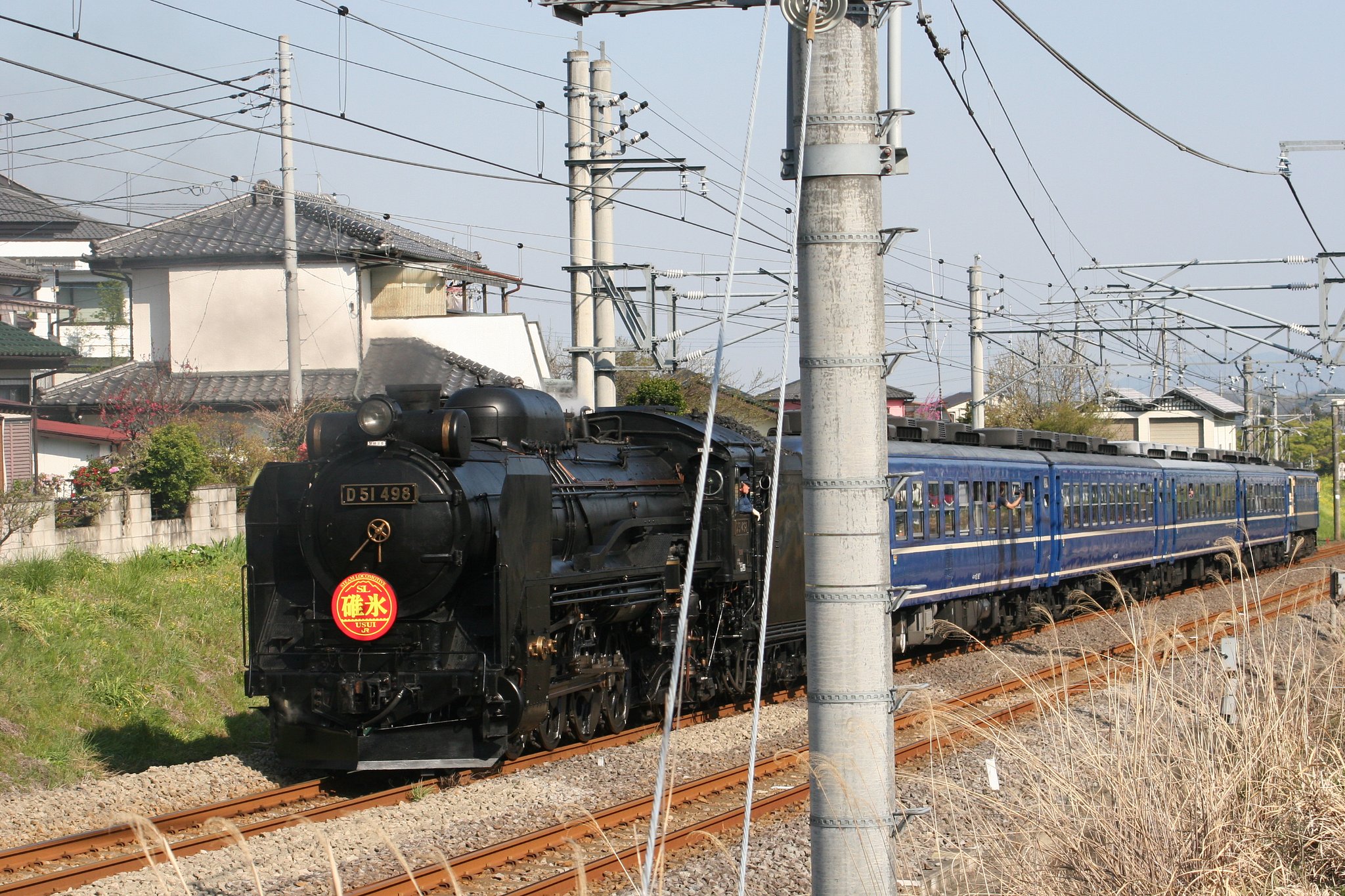 D51