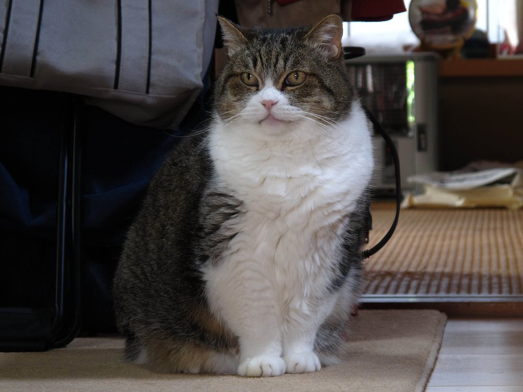 正座
