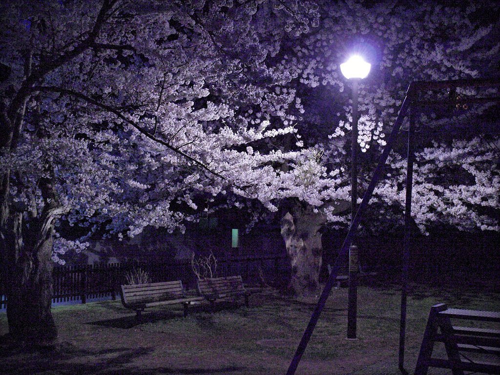 寂しい夜に