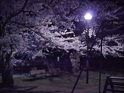 寂しい夜に