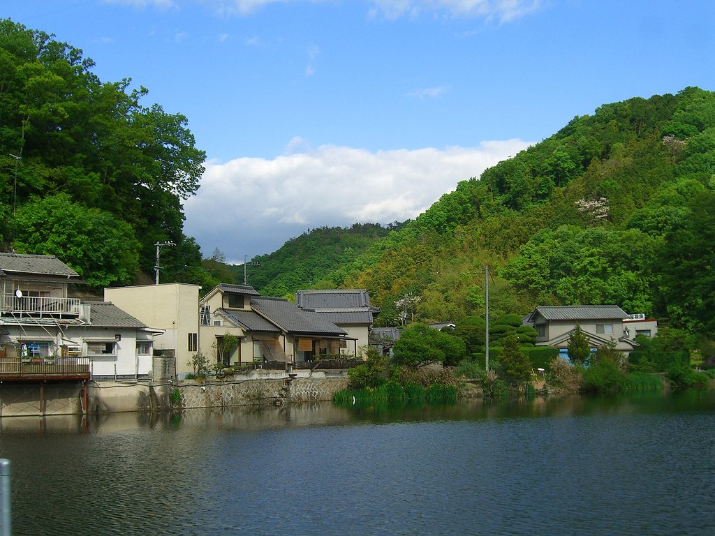 水と緑と青空と