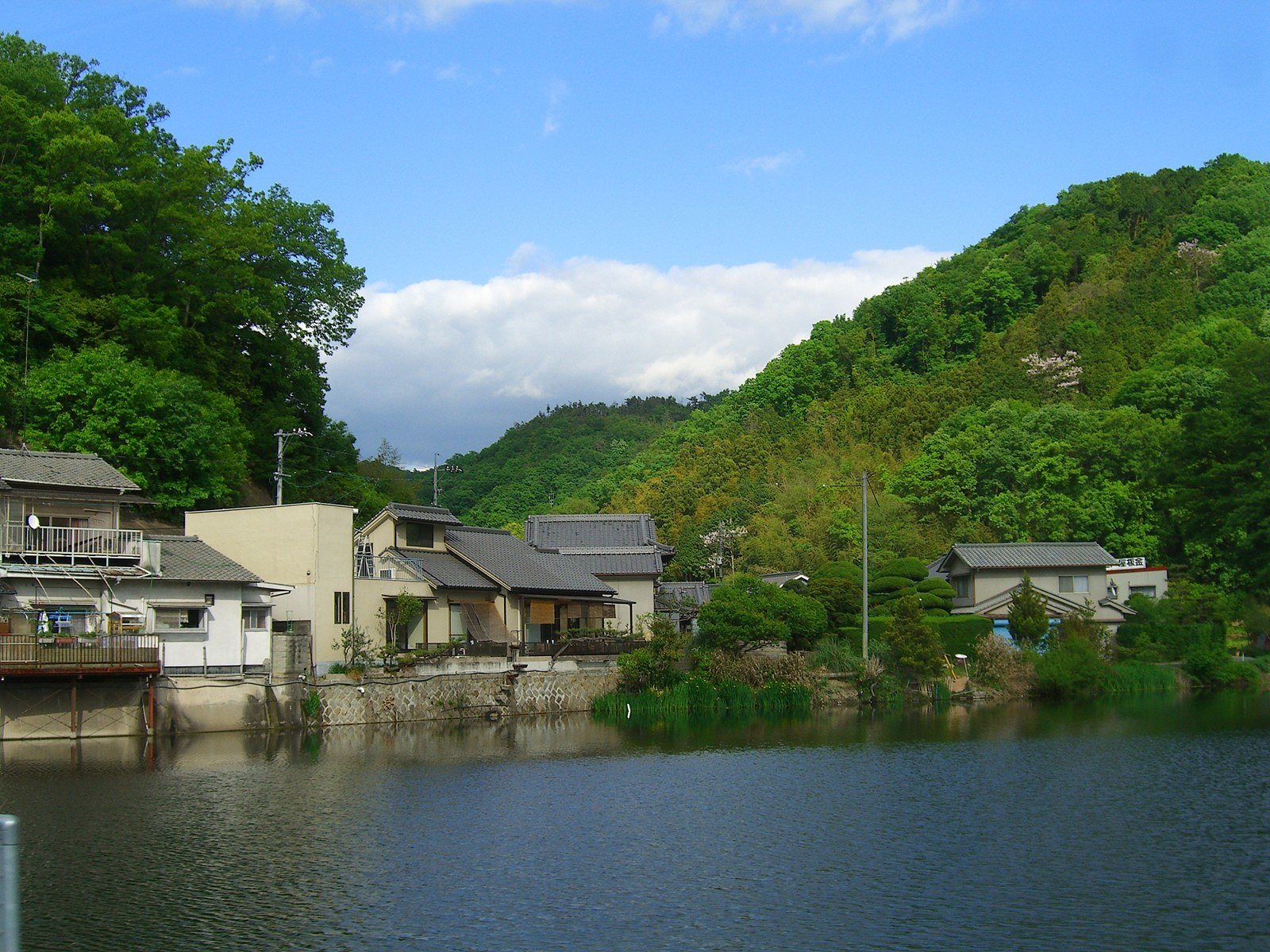 水と緑と青空と