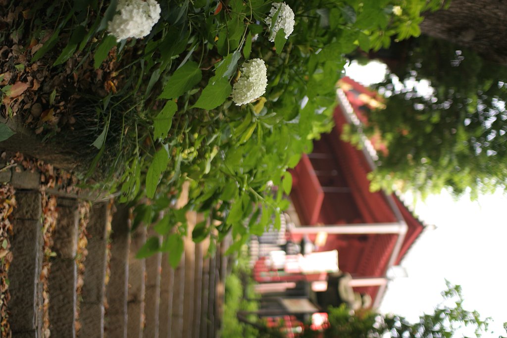 SIGMA 30mm/F1.4 開放