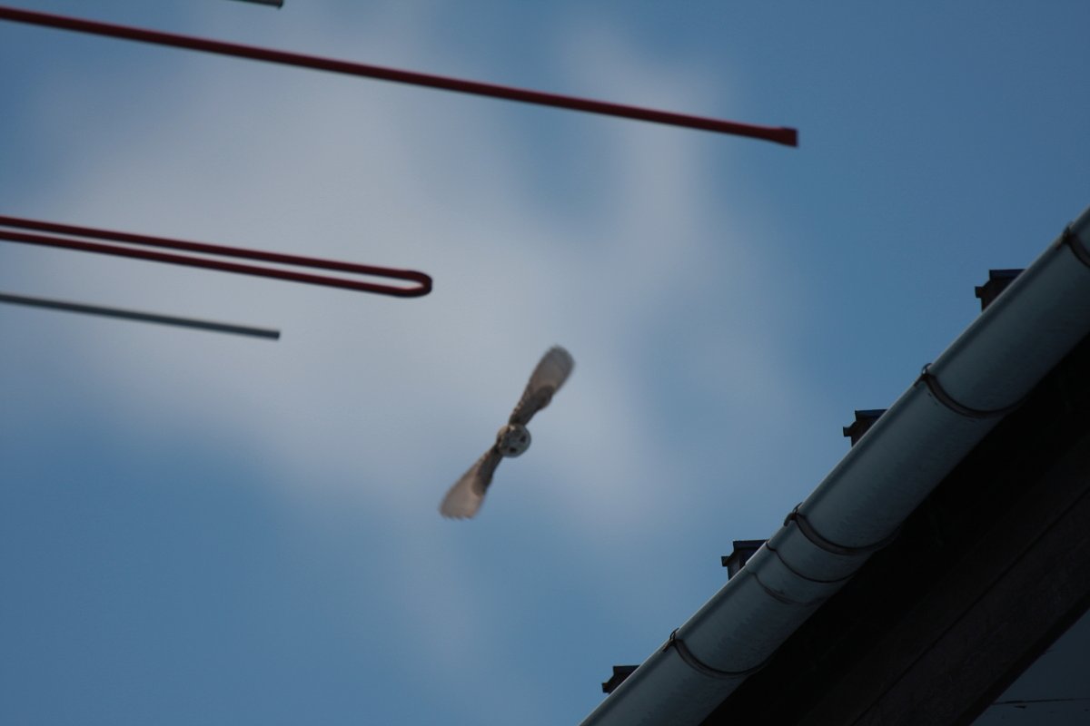 空へ