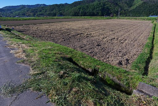 田園風景-2