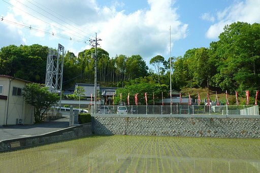寺と水田