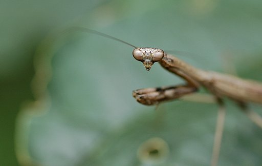 9月21日の写真