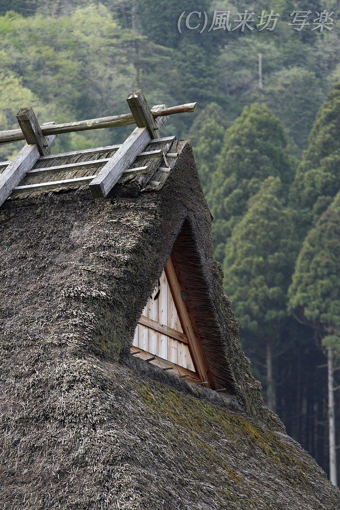 茅葺き