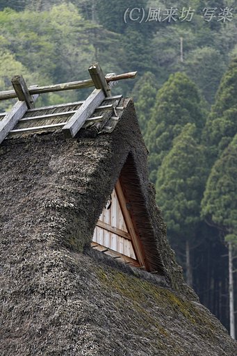 茅葺き