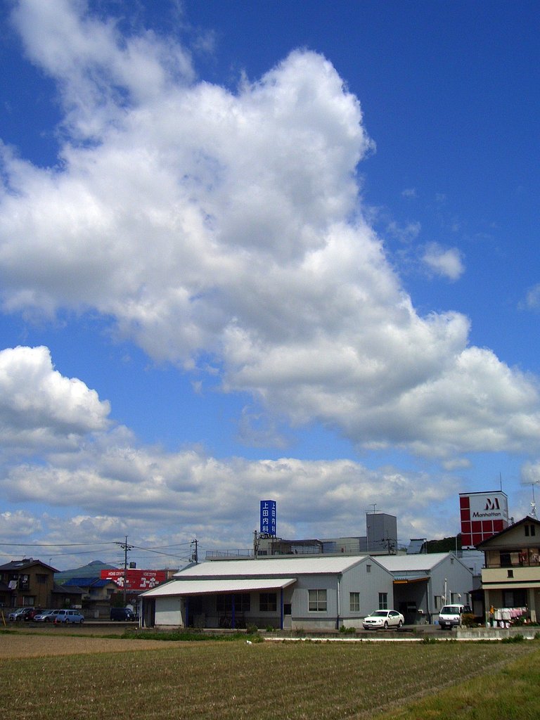 朝雲
