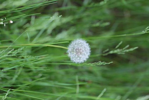 飛んでけ〜飛んどけ〜