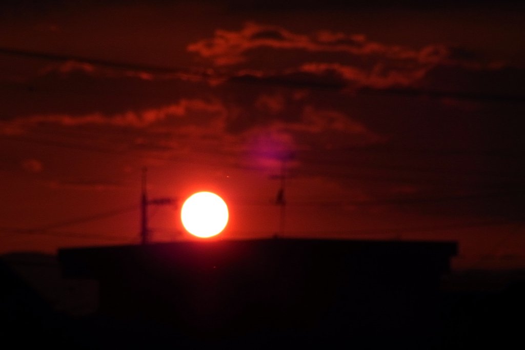 夕日