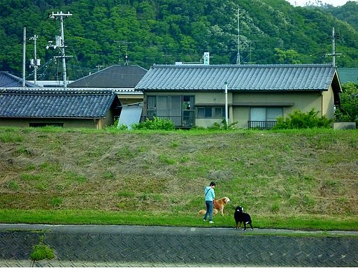 【生活の色】日課