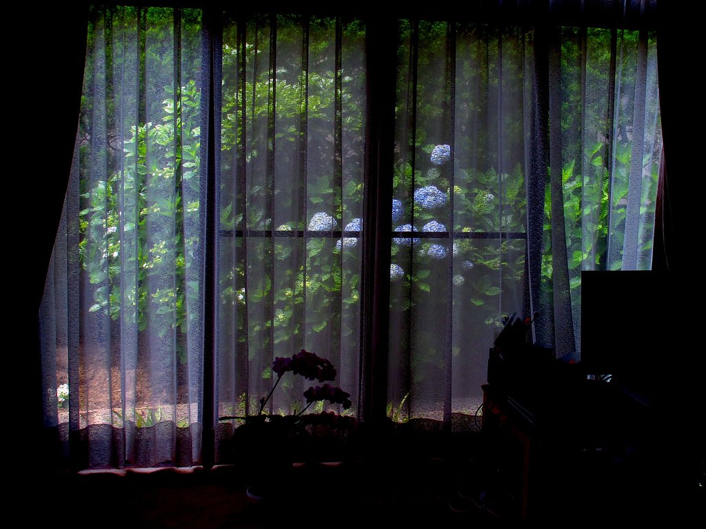 アジサイの見える部屋