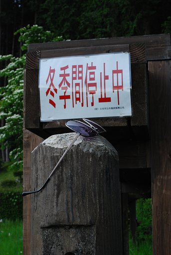 忘れ物（サングラス）
