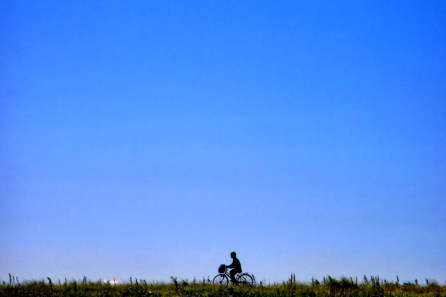 【生活の色】自転車通学