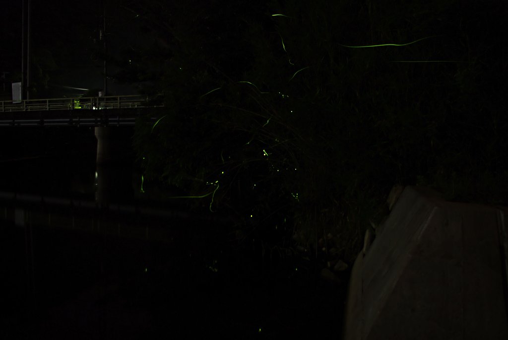夜中の足守川から・・・