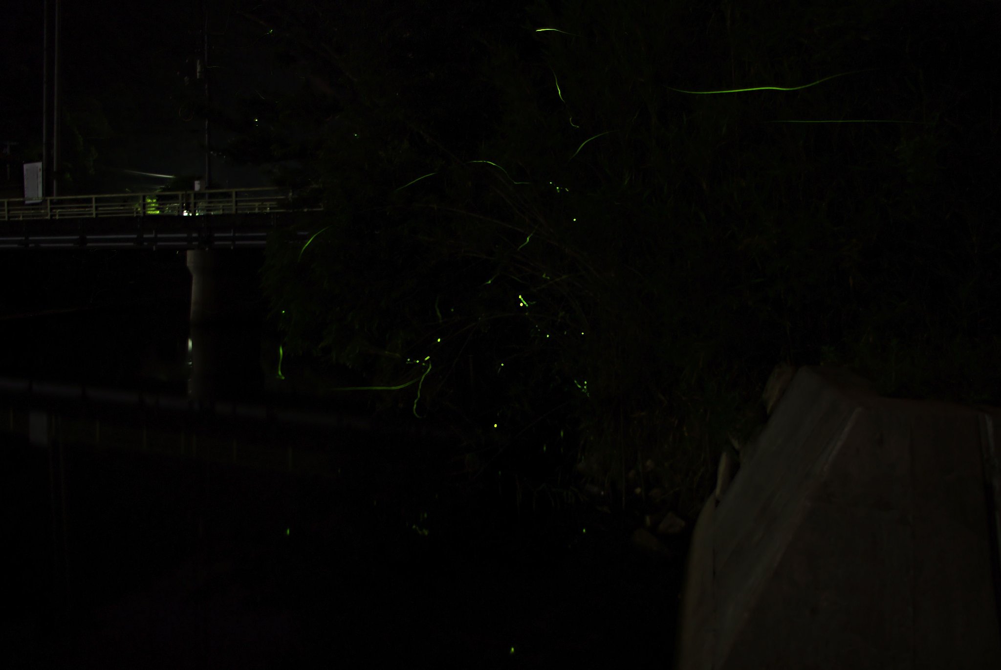 夜中の足守川から・・・