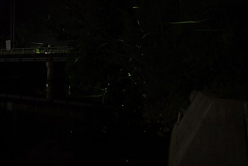 夜中の足守川から・・・