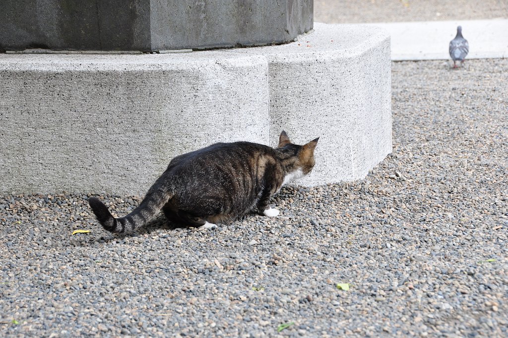 狙う