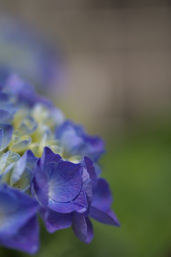 藍に近く