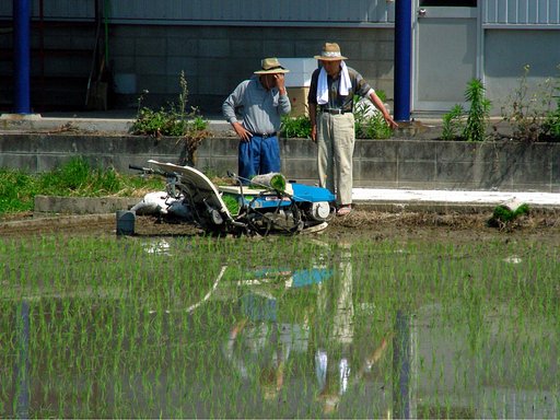 【生活の色】請負人と依頼人