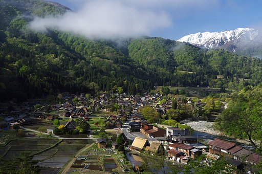 里山の朝