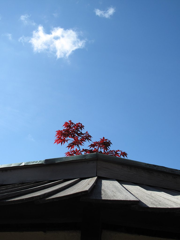 金沢