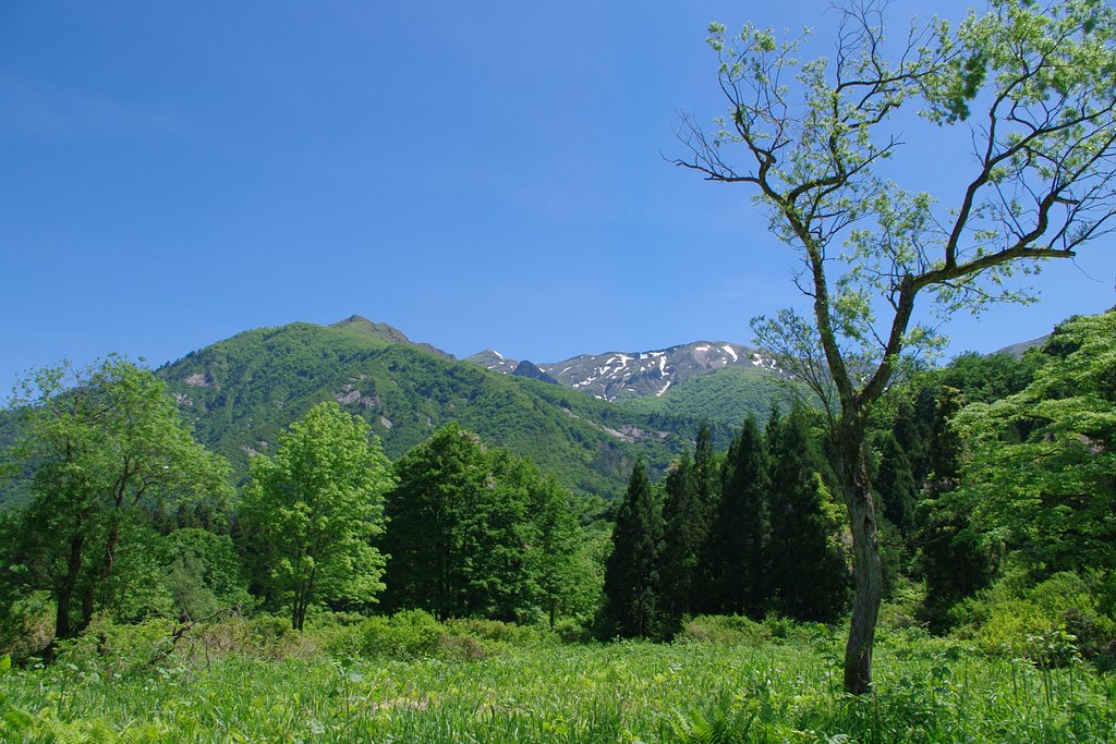 風薫る越後の山