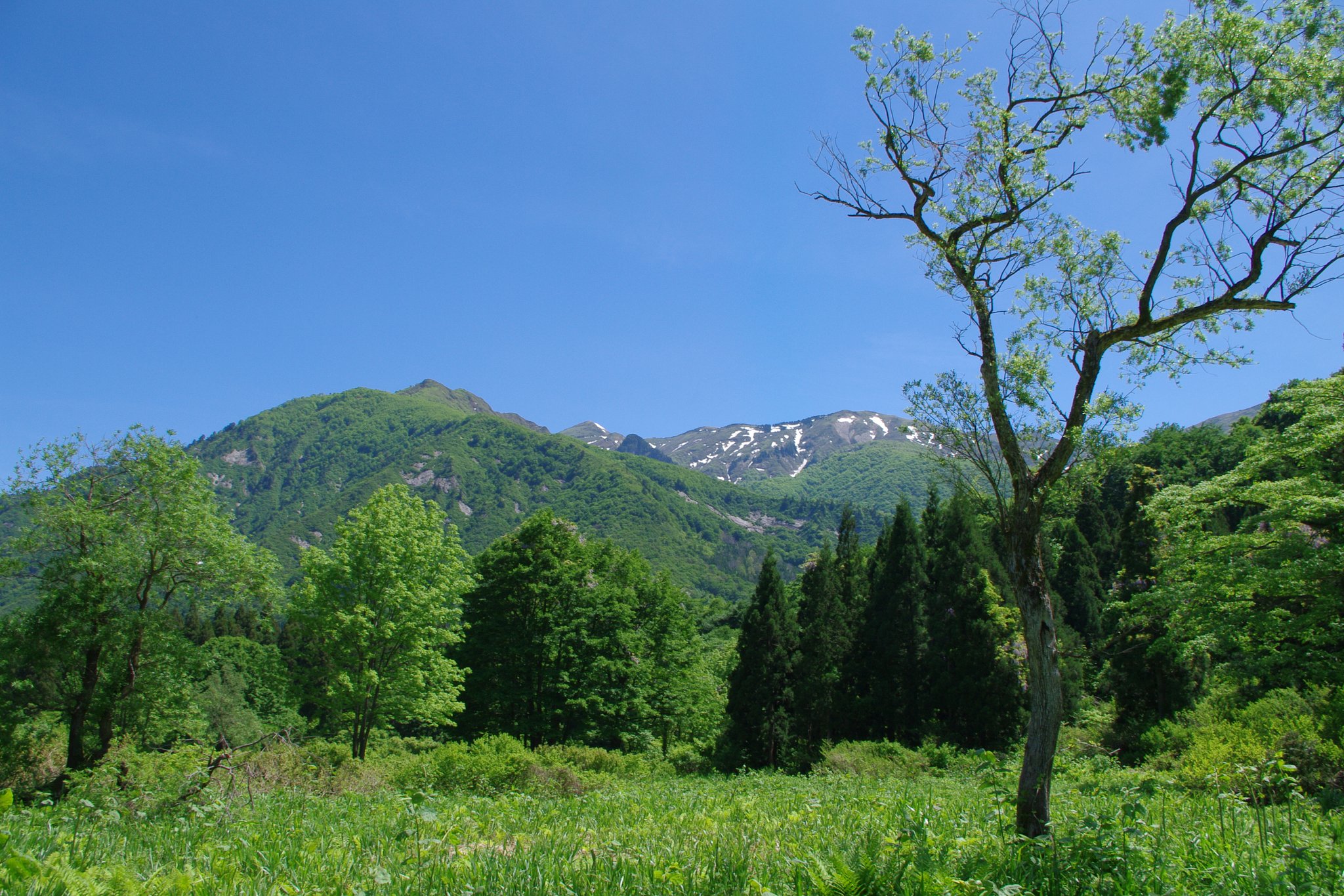 風薫る越後の山