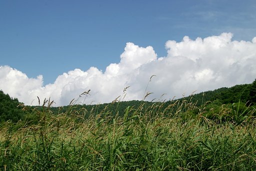 もくもくと夏雲