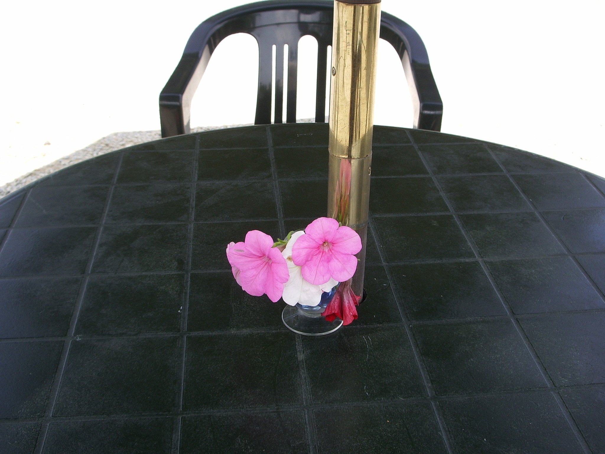 ピンクの花が・・・