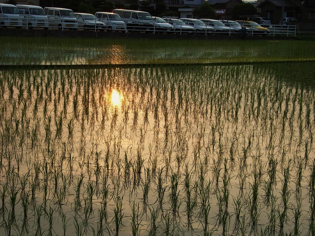 暮れる