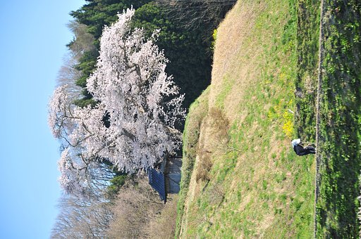 【生活の色】生きるために