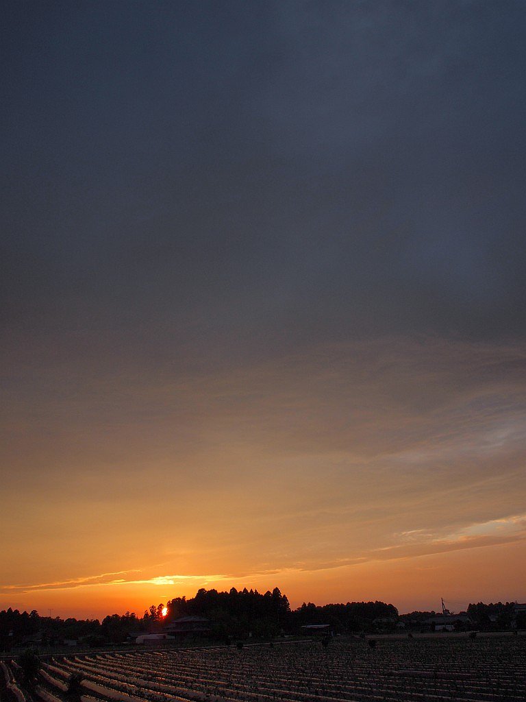 夕日