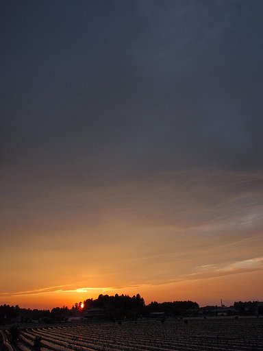 夕日