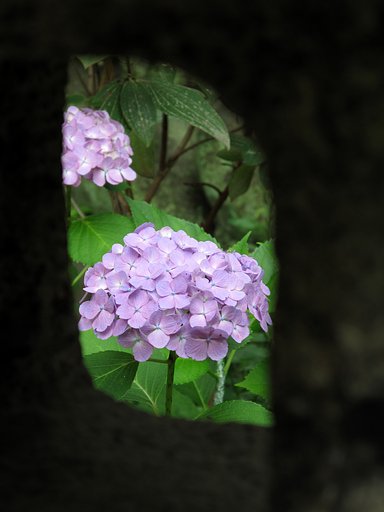 覗き
