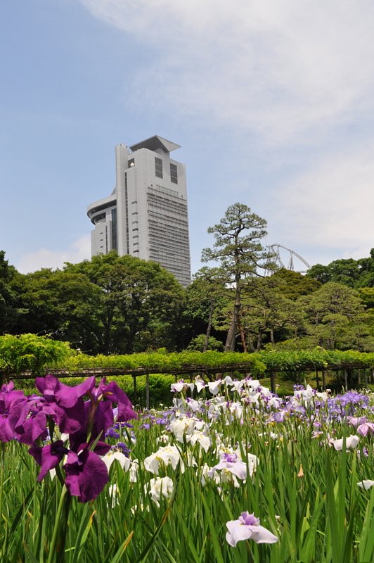 小石川後楽園