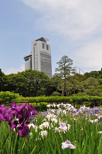 小石川後楽園