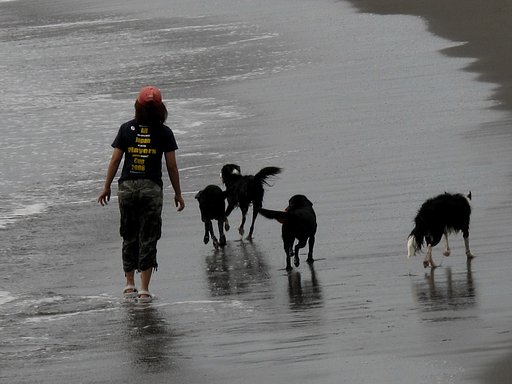 湘南の風