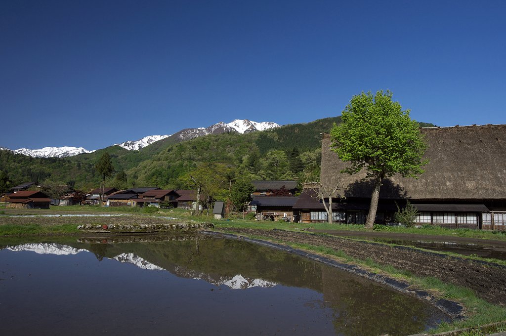 白川郷の春