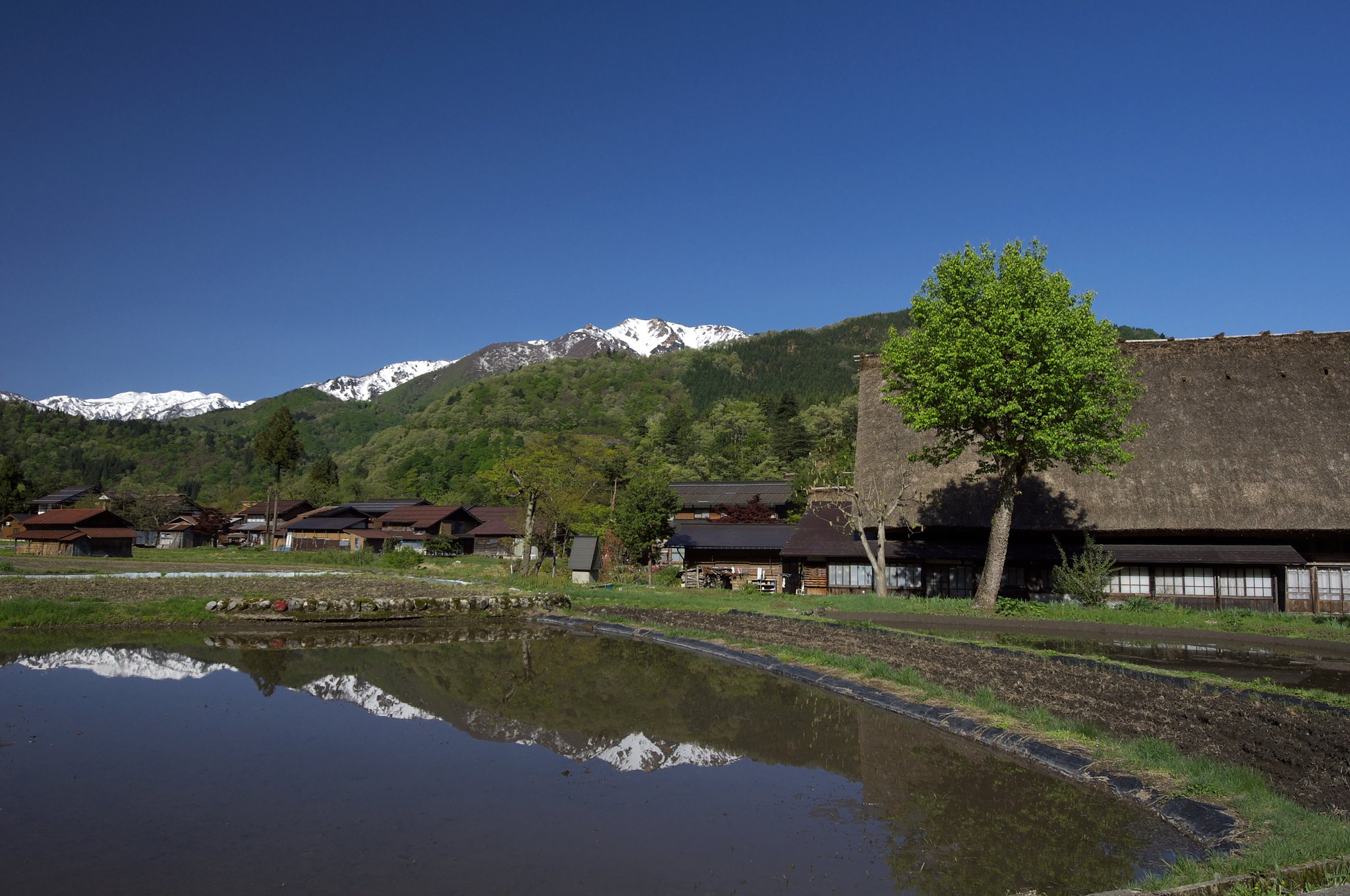 白川郷の春