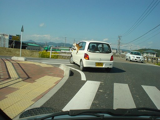 【生活の色】ドライブ