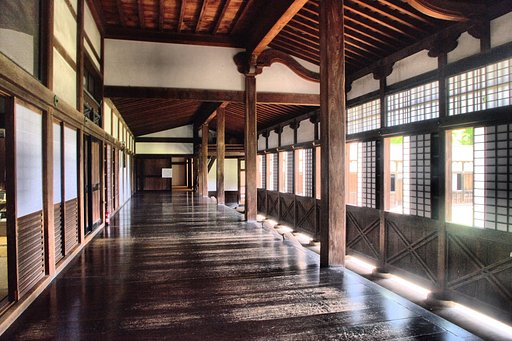 【清和】日差し