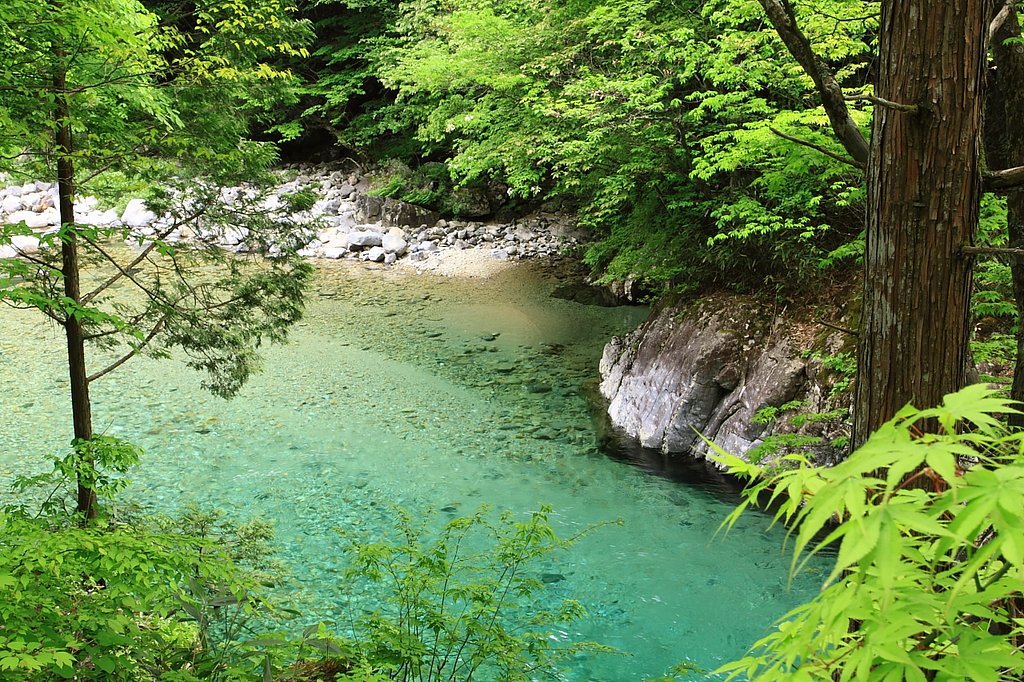 清