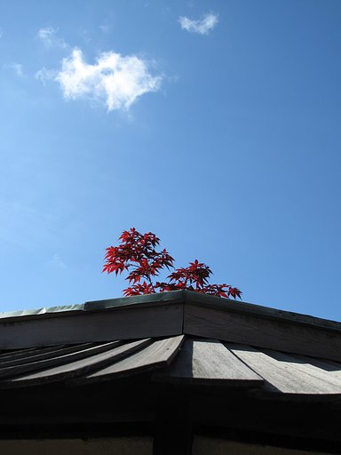 [清和]屋根と青空