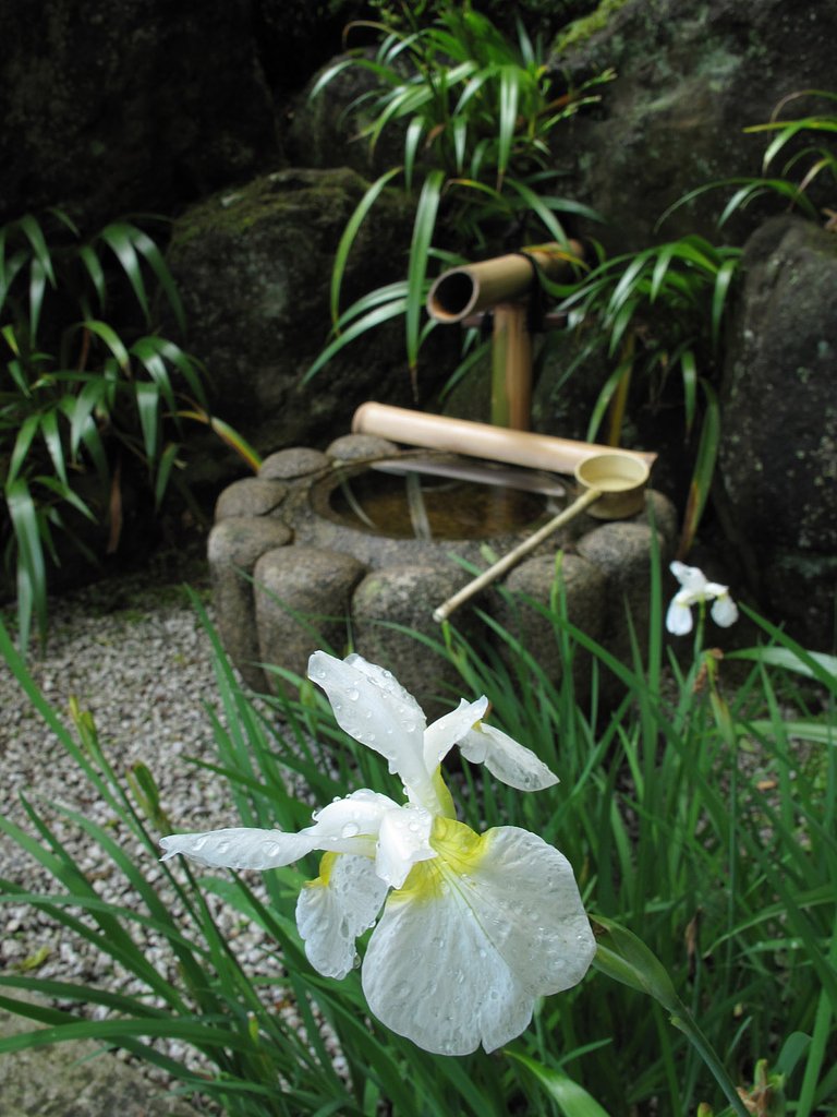 雨上がり